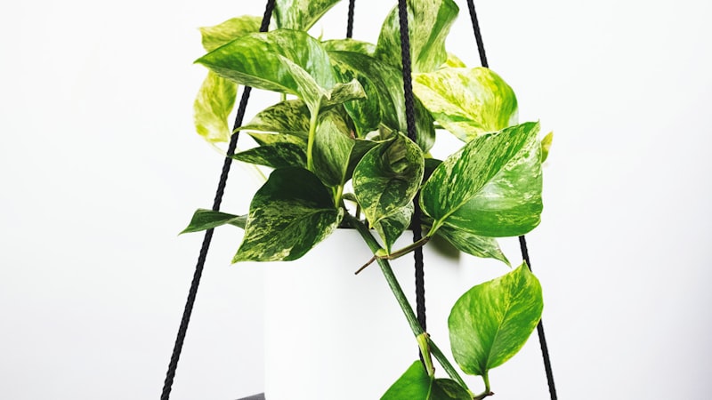 皇家马德里对阵拜仁慕尼黑的欧冠半决赛前瞻图片，显示伯纳乌球场夜景